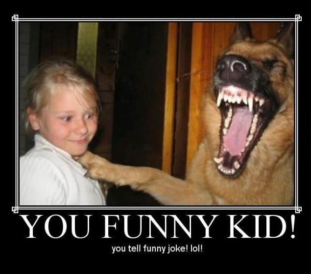 Funny Animal Memes - you funny kid