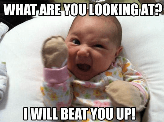 Funny Baby Memes - what are you looking at