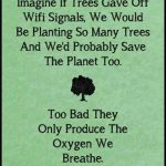 Funny Ecards - imagine if trees