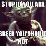 Funny Memes: breed you should not
