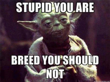 Funny Memes: breed you should not