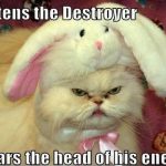 Funny Animals Memes - mittens the destroyer