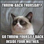 Animal Memes - grumpy cat thursday