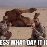 Animal Memes - guess what day