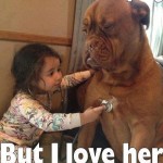 Funny Animal Memes - yes shes annoying