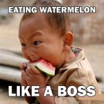 Funny Baby Memes - like a boss