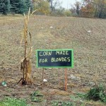 Funny Memes - corn maze for blondes