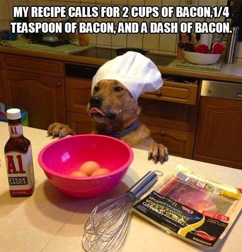 Funniest Memes: a dash of bacon