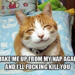 Funny Animal Memes - wake me up again
