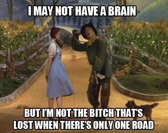 Funny Memes - i may not have a brain