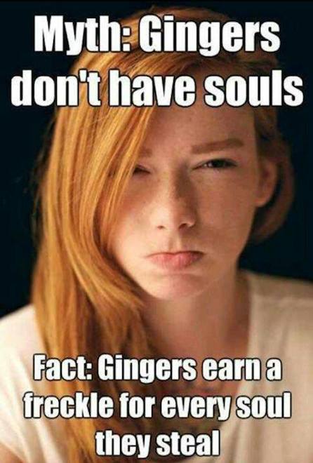 Funny Memes - truth about gingers
