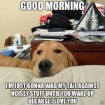 Animal Memes - good morning