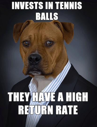 Animal Memes - high return rate