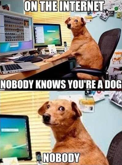 Funny Animal Memes - nobody knows