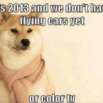 Funny Animals Memes - its 2013