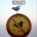 Funny Memes: breaking the law