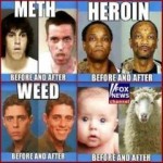 Funny Memes - drugs vs fox news