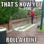 Funny Memes - roll a joint