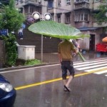 Funny Memes - screw umbrellas