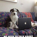 Animal Memes - concerned doggie