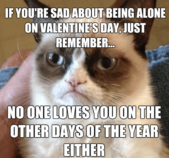 Funny Animal Memes - valentines day grumpy cat