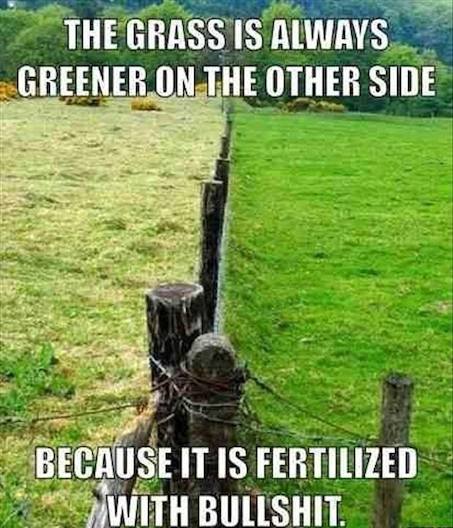 Funny Memes - fertilized with bullshit