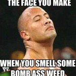 Funny Memes - the rock is cookin