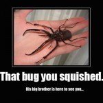 Funny Animal Memes - that bug you squished