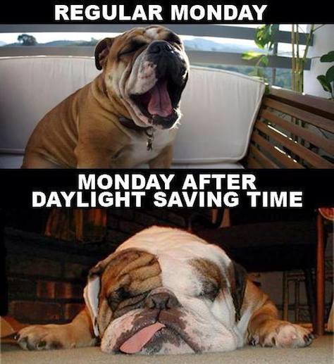 Funny Memes - monday after daylight savings