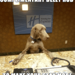 Animal Memes - complimentary belly rub