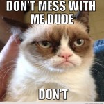 Cat Memes: Don't mess with me dude don't